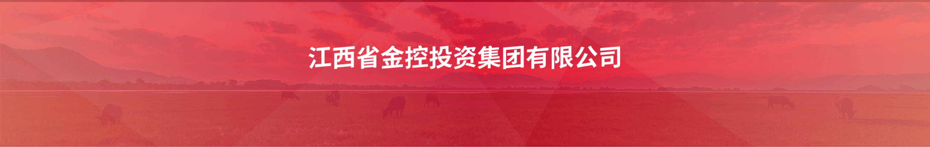 江西金控投资集团